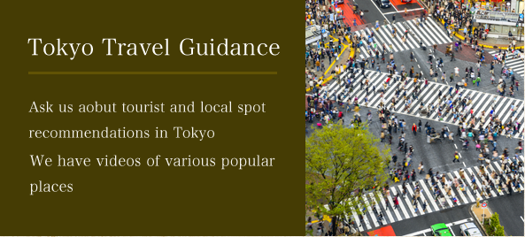 Tokyo Travel Guidance